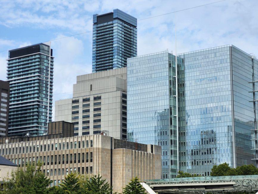 Toronto's Tech Jobs Market Shifts: What Workers and Job Seekers Need to Know Right Now