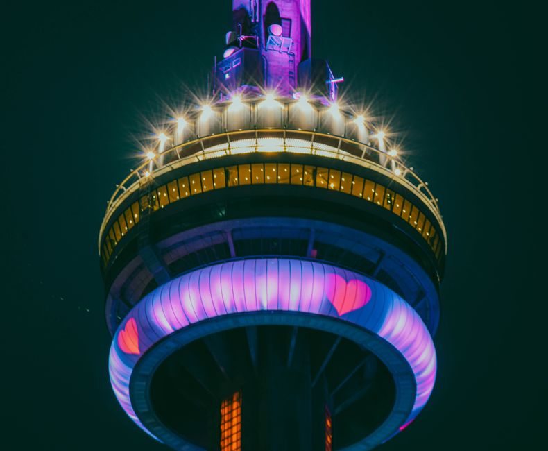 Complete guide to the best local experiences right now