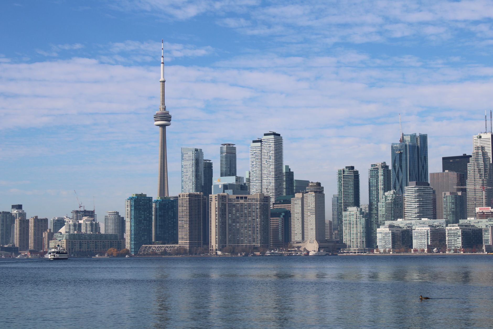 Toronto's MLS Database Took 10 Years to Fix Duplicate Photo Problem