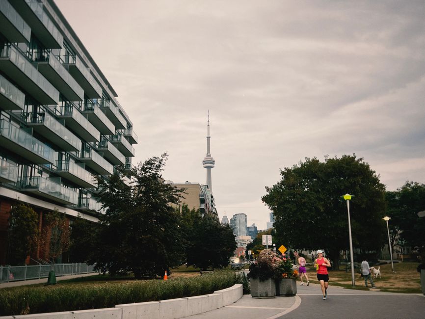 Where to find the best parkrun near you